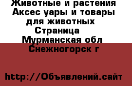 Животные и растения Аксесcуары и товары для животных - Страница 2 . Мурманская обл.,Снежногорск г.